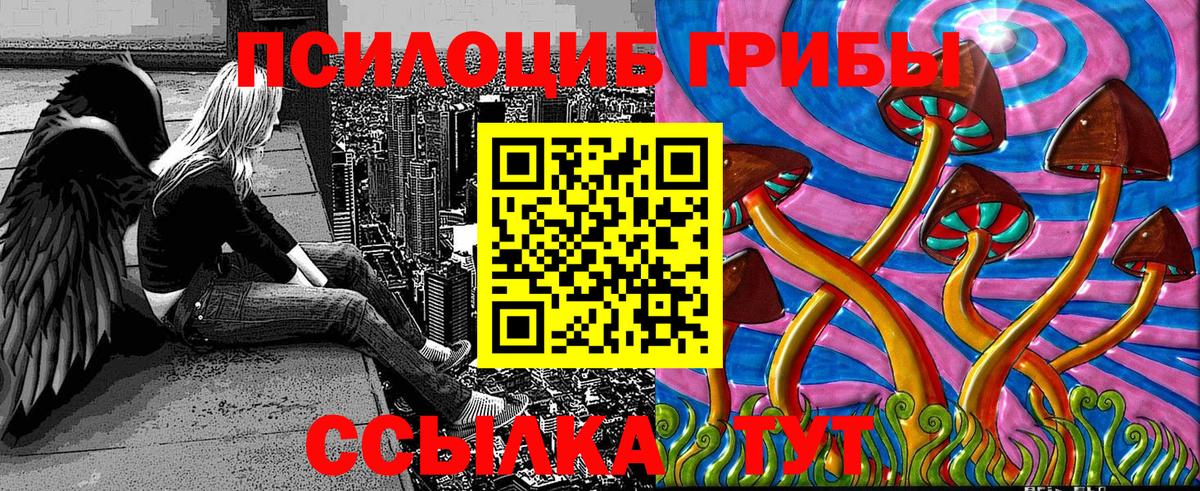 Салават  Псилоцибиновые грибы Cubensis  Вход с VPN  Галлюциногенные грибы мицелий 